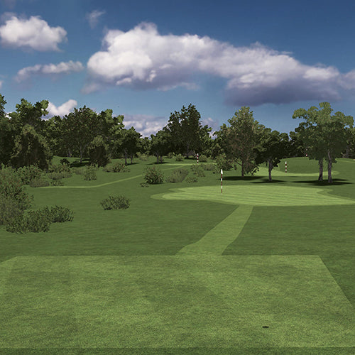 Pitch and Putt course simulation, SKYTRAK Course Play powered by Foresight Sports