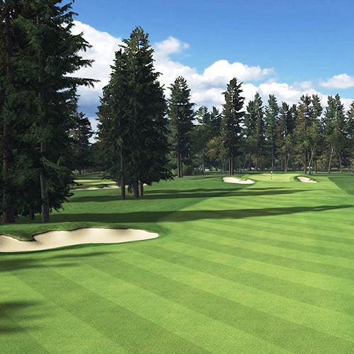 Tacoma Golf and Country Club simulation, SKYTRAK Course Play powered by TrackMan